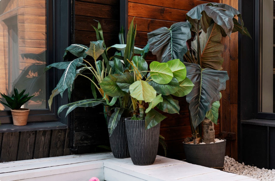 Essential Building Maintenance Tips for Property Owners